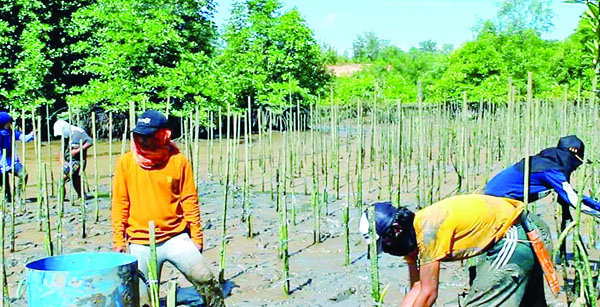 Menjaga Pesisir dan Lahan Kritis