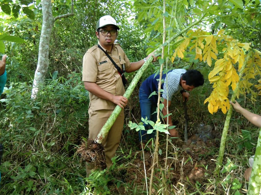 Kegiatan Eksplorasi (Penyelamatan) Tanaman Langka.