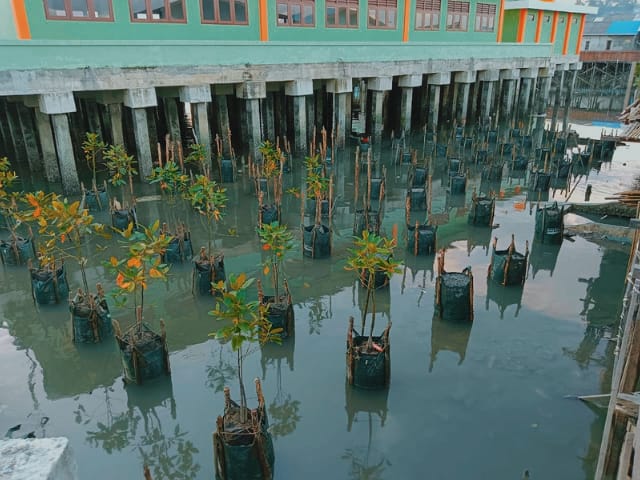 Kegiatan Pemulihan Pencemaran dan / atau Kerusakan Lingkungan Hidup Melalui Kegiatan Penanaman dan Pemeliharaan Mangrove